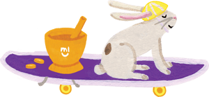 Bunny w mortar and pills
