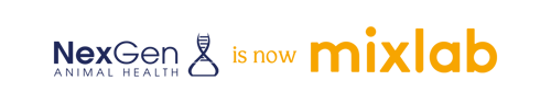 Nexgen is now mixlab