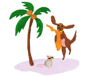 florida illustration